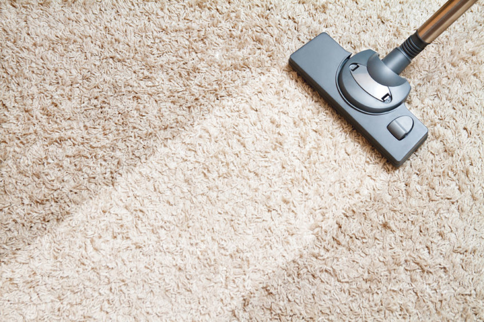 Rug Cleaning For Offices Commercial Spaces Near Washington