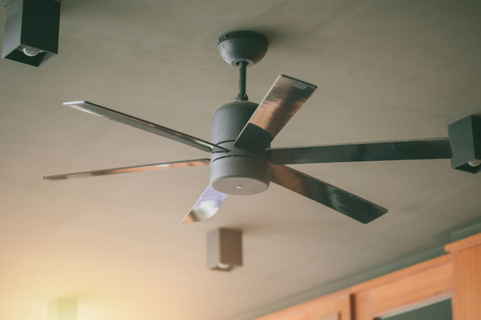 Fan For Offices Commercial Spaces Near Los Angeles Eden