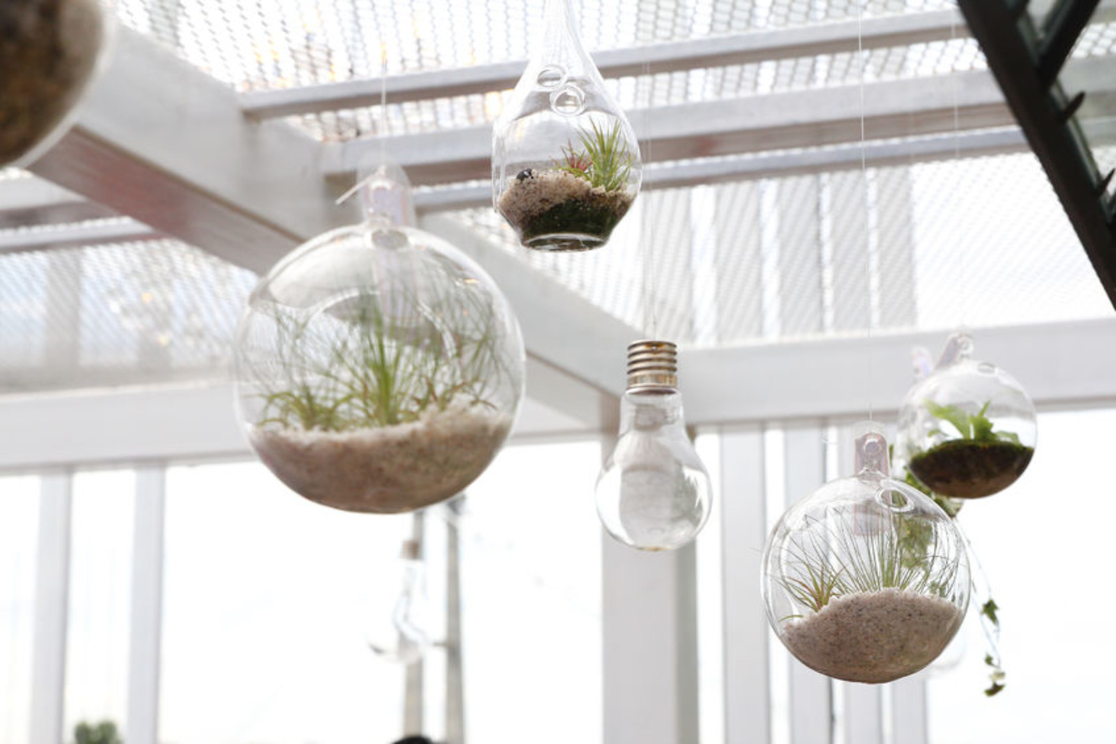Indoor Plant Design For Offices Commercial Es Near Portland Decorating Or Planning A New Design For Your Office Commercial E Find General Contractors In Portland Near You Who Can Help Perfect S